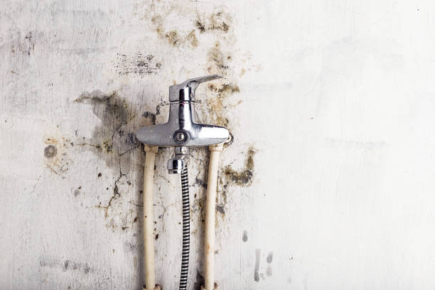Best Industrial Mold Remediation in Victory Lakes, NJ