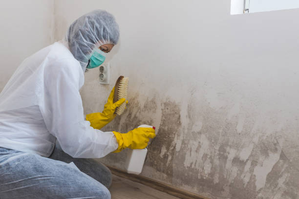 Best HVAC Mold Remediation in Victory Lakes, NJ